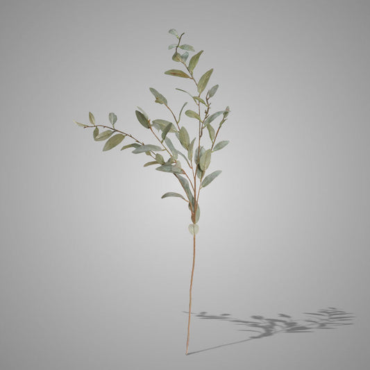 Salix Grey Green 102 cm
